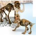 Arqueologia SMILODON & MAMUTE