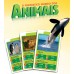Jogo de cartas quiz o mundo dos animais Jogo de cartas quiz o mundo dos animais